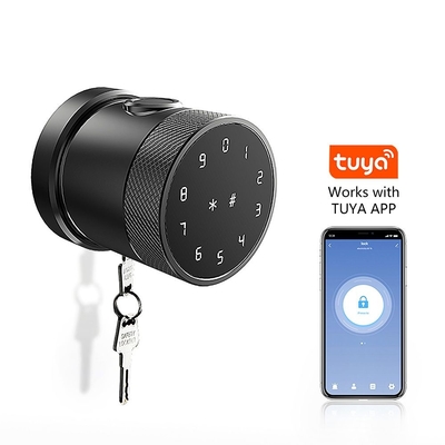Pintu cerdas pengakuan sidik jari digital elektronik tanpa kabel Kunci dengan Tuya App atau TTLock App GL-H4